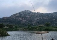 东江湖五月份钓鱼技巧是什么？如何提高钓鱼成功率？