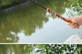 伐竿在桥上钓鱼技巧是什么？如何提高钓鱼成功率？