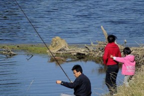 探寻新颖海滩钓鱼技巧（简单实用的钓鱼技巧助你尽享海滩乐趣）