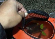 发大水溪里钓鱼技巧是什么？如何应对溪流钓鱼中的常见问题？