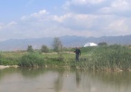 电站回水湾钓鱼技巧有哪些？如何提高钓鱼成功率？
