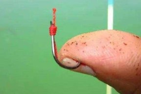 如何选择最佳钓鱼位置？哪些钓鱼禁忌需要避免？