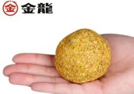 仿生饵钓鱼技巧有哪些？如何提高钓鱼成功率？