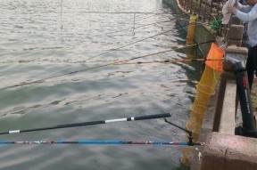 东北冰钓实录之技巧补缺闷杆钓（探秘东北冰钓技巧，提升闷杆钓技术水平）