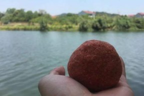 学会蚯蚓钓鱼的三个黄金技巧（提高钓鱼效果的关键诀窍）