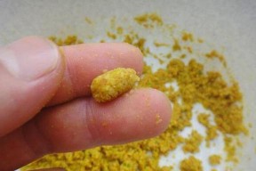 玉米飞铅钓浮的技巧与方法（玉米飞铅钓浮）
