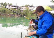 掌握鱼饵搭配技巧，提升钓鱼效果（学会正确选择和使用鱼饵，成为高级钓鱼人）