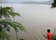 风筝钓鱼的最佳方法和技巧是什么？如何提高风筝钓鱼的成功率？
