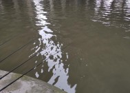 河虾钓鱼技巧教程简单一点？如何快速掌握高效钓法？