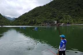 钓鱼提鱼技巧入门？如何快速掌握提鱼技巧？