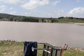 浑水清水钓鱼技巧（掌握技巧）