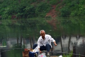 如何掌握钓鱼甩长杆技巧教程？常见问题有哪些？