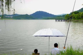 钓鱼定律和技巧是什么？如何应用这些技巧提高钓鱼成功率？