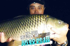 钓鱼生活小技巧（提升钓鱼技巧的十五个窍门）