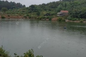 冰封水库钓鱼技巧教学？如何应对低温天气的钓鱼挑战？