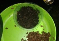 夜钓昂刺鱼技巧有哪些？河里走水时如何提高成功率？