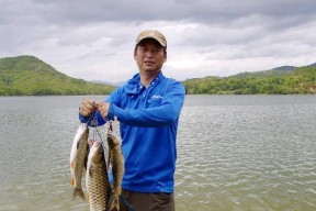 河边野钓钓鱼技巧（掌握钓鱼技巧）