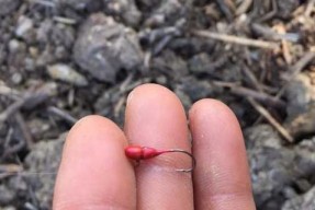 筏竿钓鱼绑钩技巧有哪些？如何正确绑钩提高钓鱼效率？