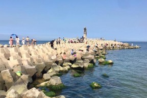码头海港钓鱼技巧（提升钓鱼技巧）
