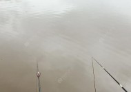 冬季夜钓鲫鱼调漂技巧教程？如何提高钓获率？