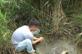 海边石缝钓鱼技巧（掌握关键）