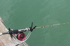 筏竿钓鱼抓口技巧教程？如何提高抓口成功率？
