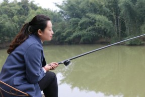 稻田农庄钓鱼技巧有哪些？如何提高钓鱼成功率？