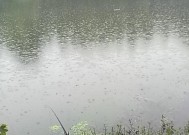 冰窟钓鱼技巧教学？如何在冰窟中安全有效地钓鱼？