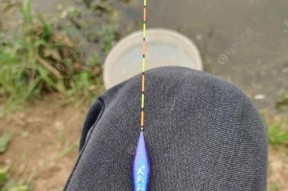 如何在水流大的情况下调整浮漂？掌握这些技巧和方法能提高钓鱼效率吗？