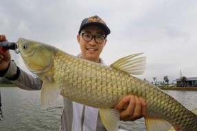 钓鱼的技巧怎么钓各种鱼？不同鱼类的钓法有何不同？