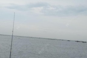 定海神针钓鱼技巧有哪些？如何提高钓鱼成功率？