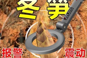 如何高效钓鱼同时挖到竹笋？需要什么技巧和工具？