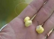 打窝竿钓鱼技巧和方法有哪些？如何提高钓鱼效率？