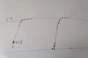 钓草鱼时钩距与调漂技巧是否相同？