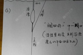 钓鱼调漂技巧及原理是什么？如何根据原理选择合适的漂具？