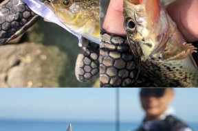 如何正确使用钓鱼甩钩？掌握技巧提高钓鱼效率！