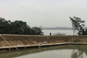打黑坑钓鱼技巧和方法是什么？如何有效提高钓鱼成功率？