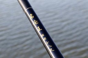 掌握河间钓鱼技巧的秘籍（河间钓鱼技巧教程大揭秘）