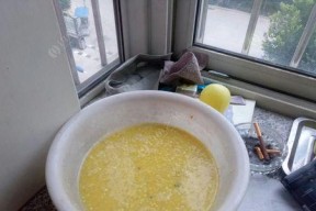 蜂蜜味玉米钓鱼技巧有哪些？如何提高钓鱼成功率？