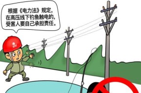防高压电钓鱼技巧有哪些？如何安全进行高压电钓鱼？