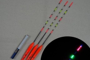 夜钓浮漂颜色选择技巧（提升夜钓效果的关键色彩）