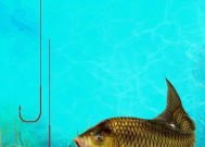 肥水黑坑钓鱼时如何选择合适的饵料？用饵技巧有哪些常见问题？