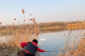 海里钓鱼挂底技巧揭秘（实用技巧助你海钓高手）
