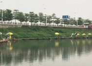 黑坑垂钓的七个技巧是什么？如何提高垂钓成功率？