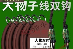如何掌握钓鱼水下双钩的技巧？常见问题有哪些？