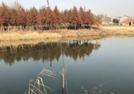河水野钓蚯蚓钓鱼技巧有哪些？如何提高蚯蚓钓鱼的成功率？