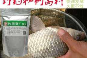 北方早春野钓鲫鱼打窝技巧（揭秘北方早春钓鲫鱼的窍门和技巧，让你轻松捕获丰富的收获）