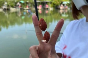 缓流水钓鱼技巧（掌握钓鱼的关键）