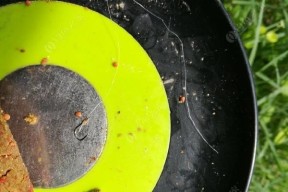 如何避免钓鱼时提竿切线？掌握这些技巧轻松应对！