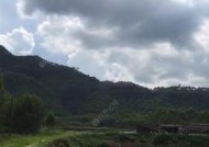 废弃鱼池钓鱼技巧有哪些？如何提高废弃鱼池的钓鱼成功率？